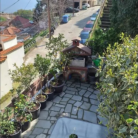 Margarita's House