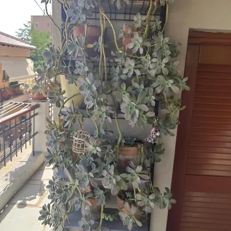 Margarita's House