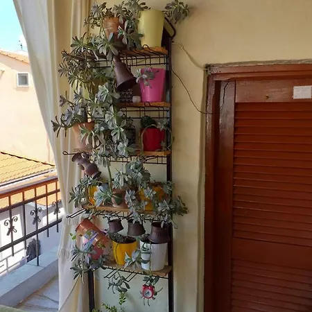 Margarita's House *